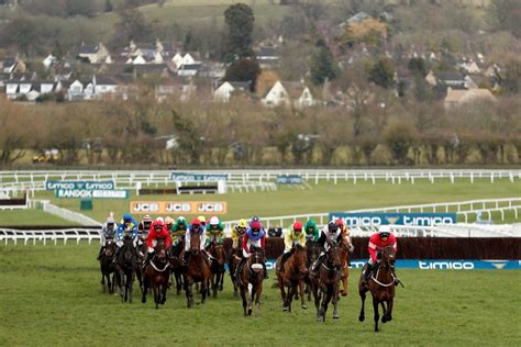 cheltenham betting 2019|Cheltenham Races: 2019.